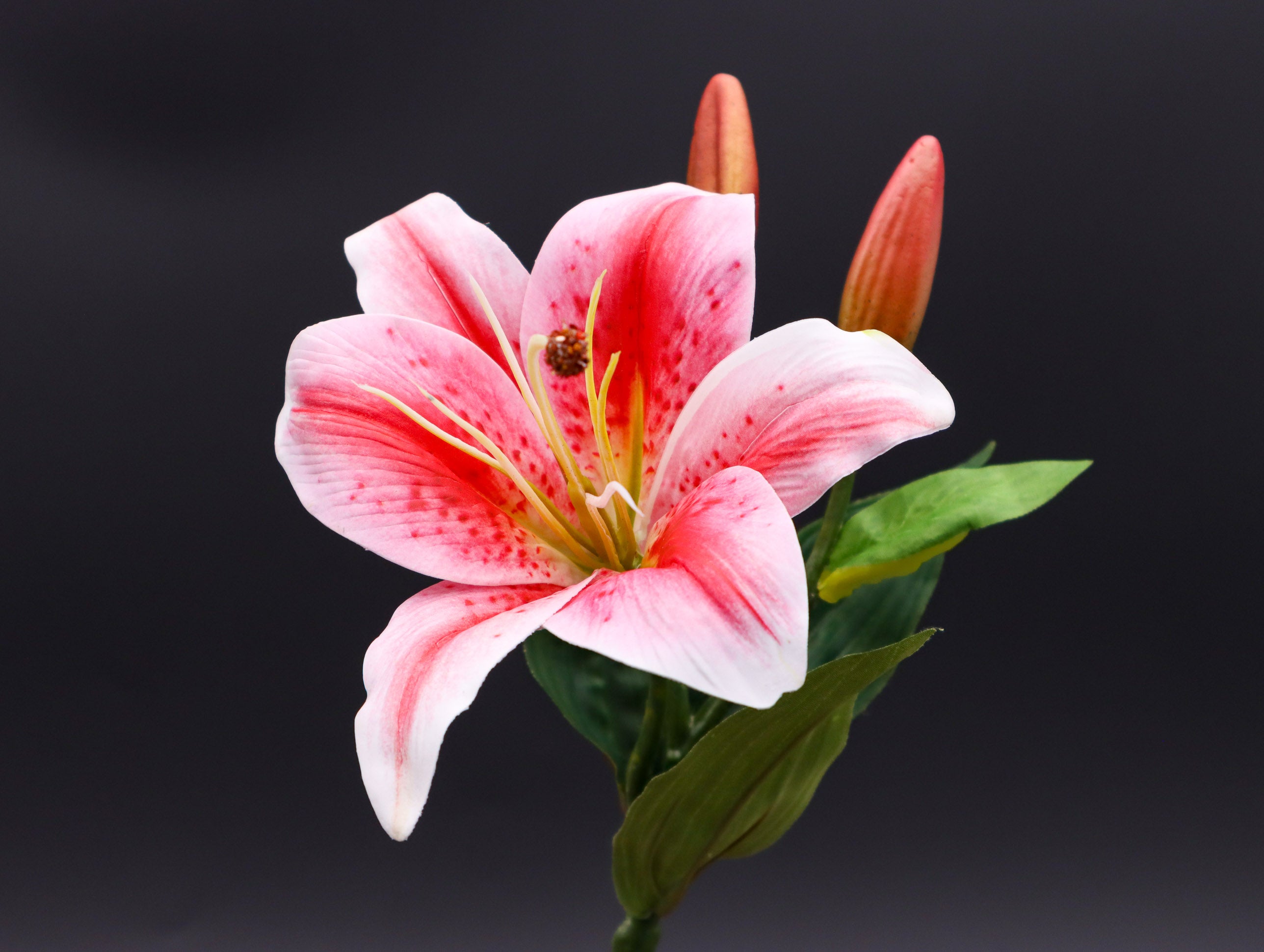 Lilie in Rosa und Pink 36 cm