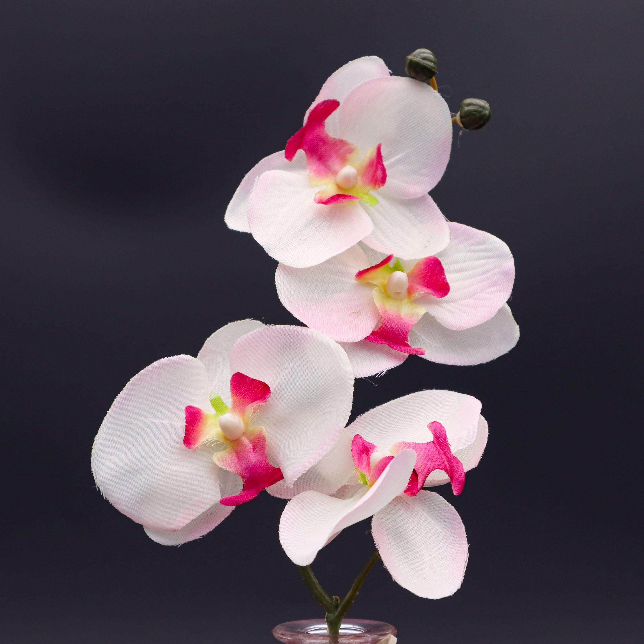 Orchideenzweig 45 cm