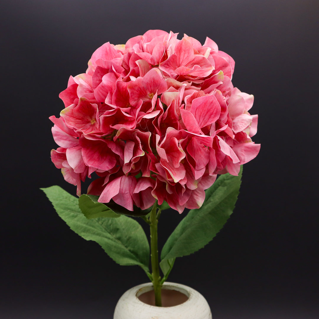 Große Hortensie in Pink oder Purple 72 cm