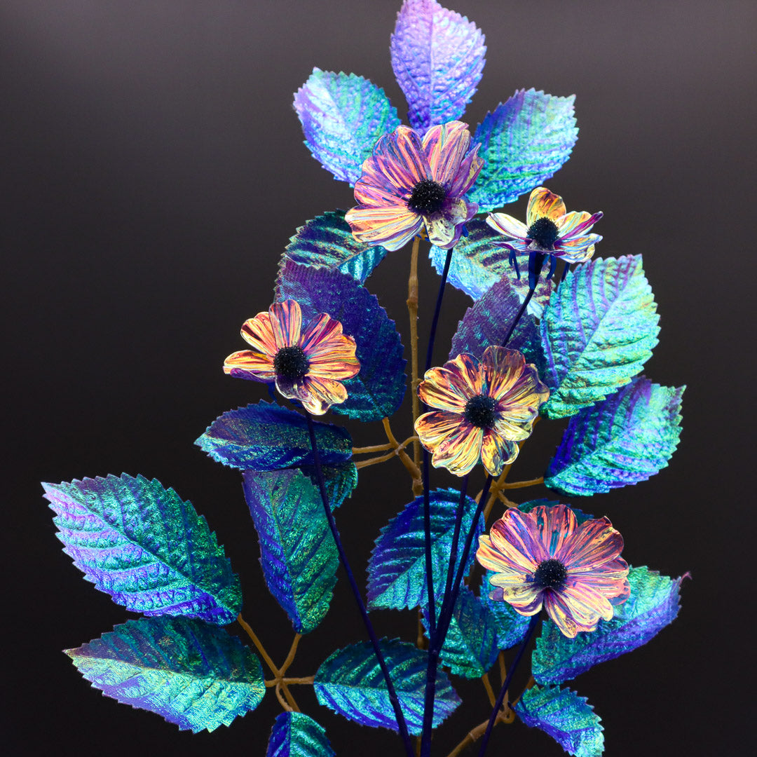 Iris Glow Cosmea in Purple, Blue 62 cm