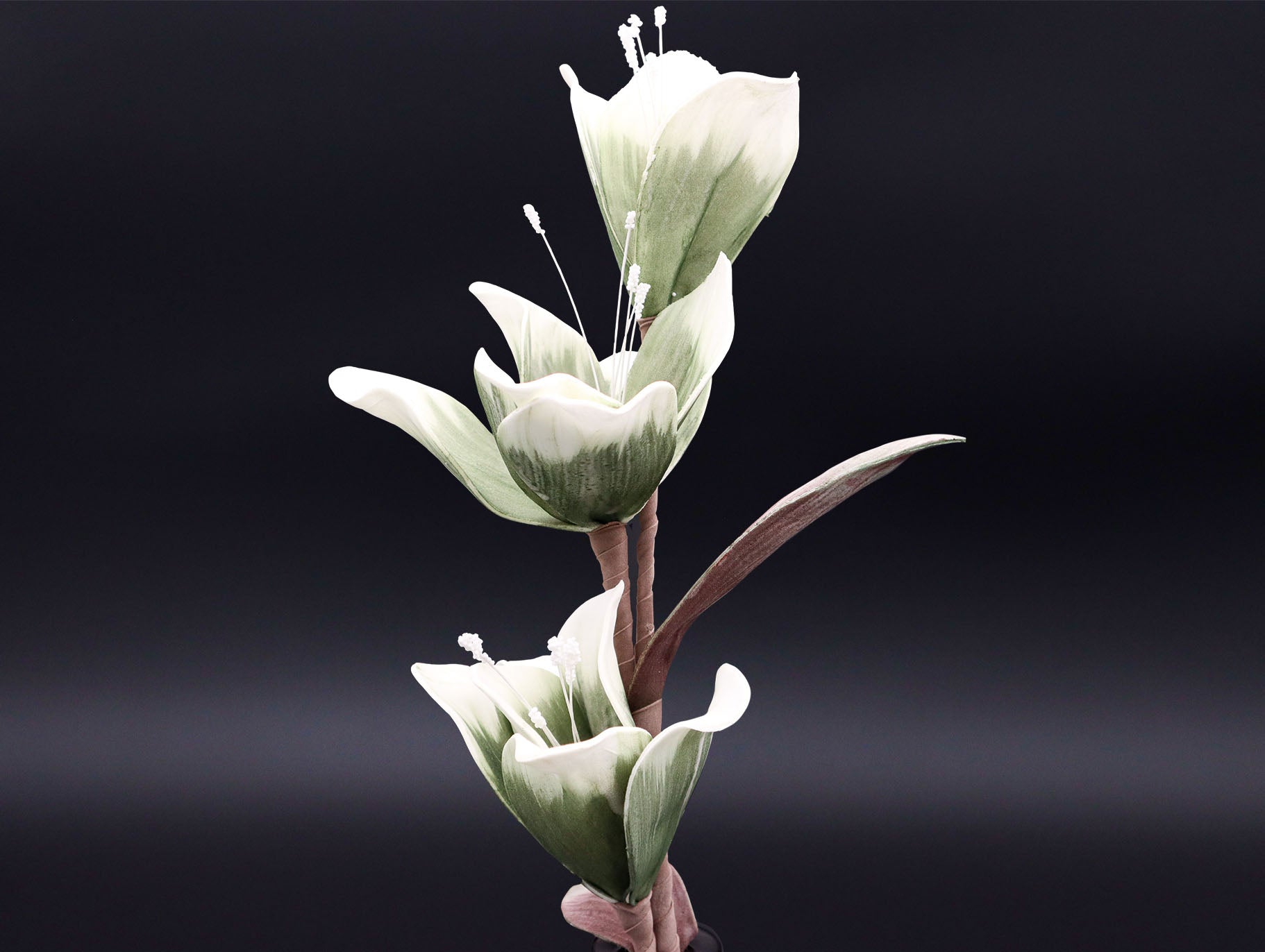 Großer Magnolienzweig in Beere oder Mint 90 cm