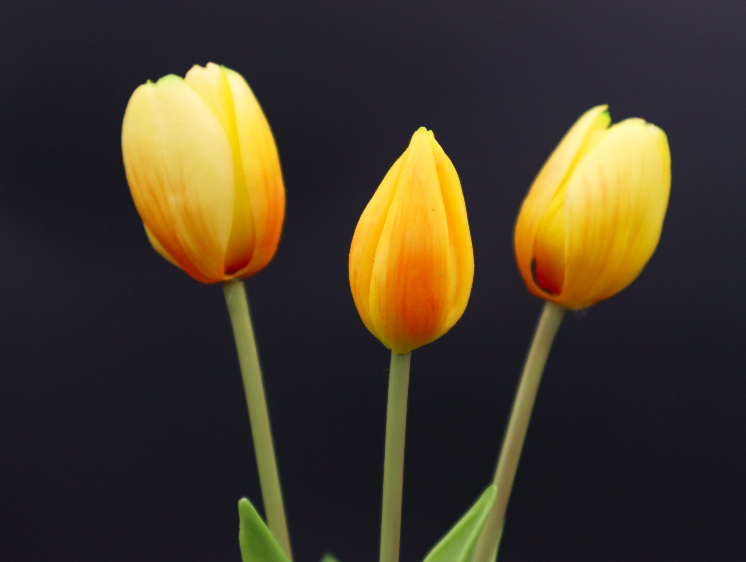 3 Tulpen Gelb mit Real Touch Effekt 39 cm