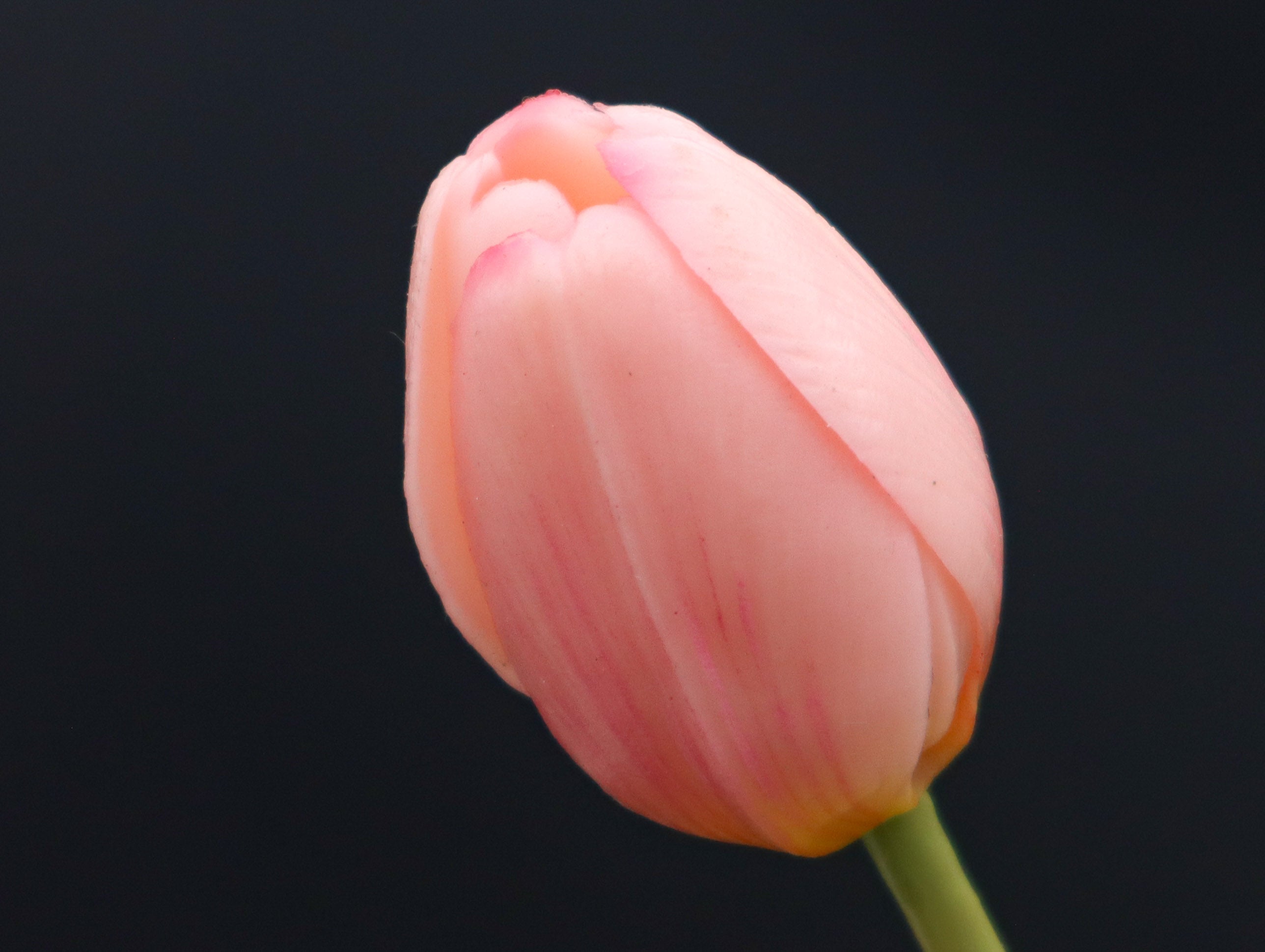 3 Tulpen in Hellrosa mit Real Touch Effekt 39 cm