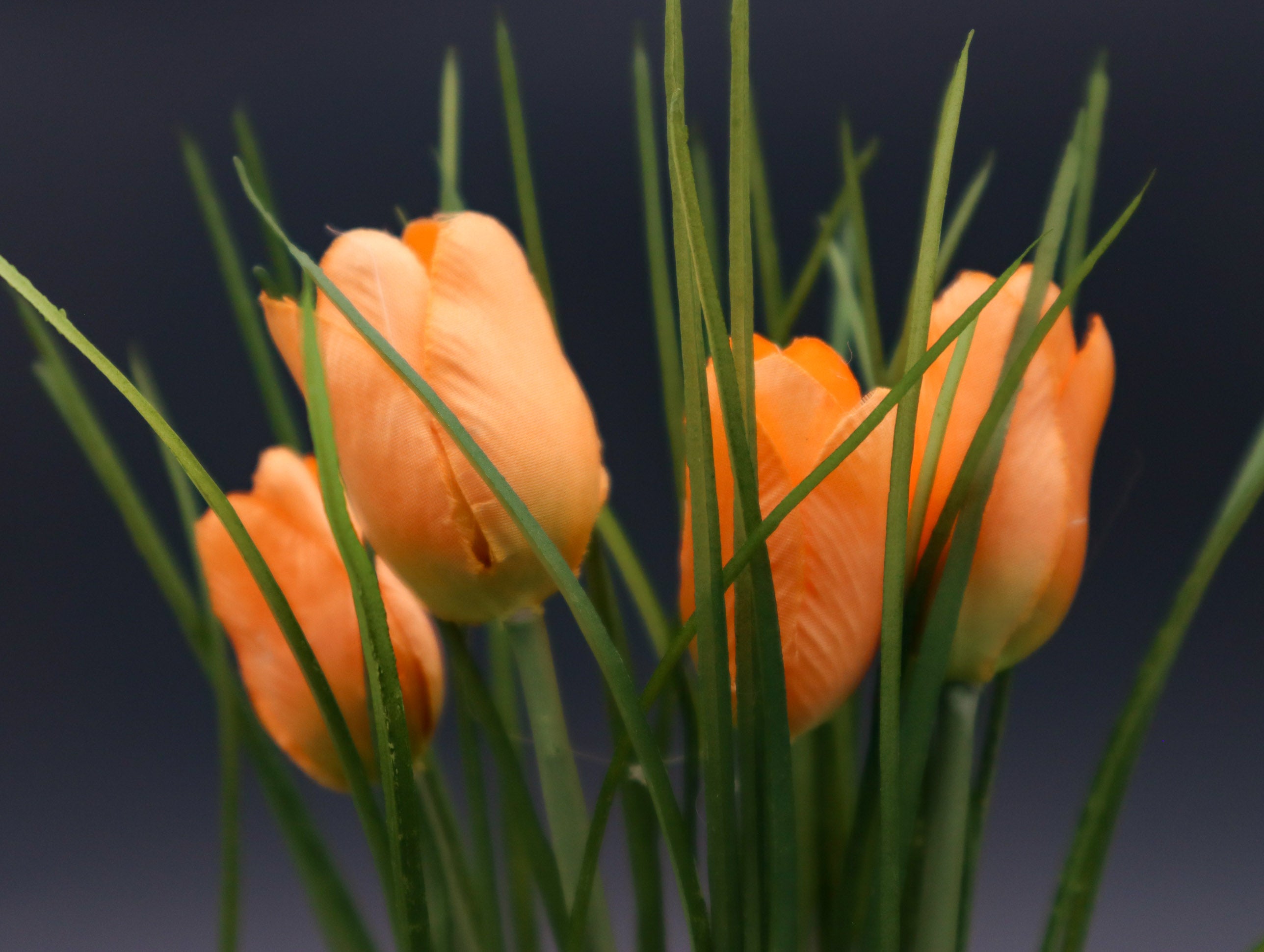 3er Set Tulpen im Gras in Rot, Orange und Gelb