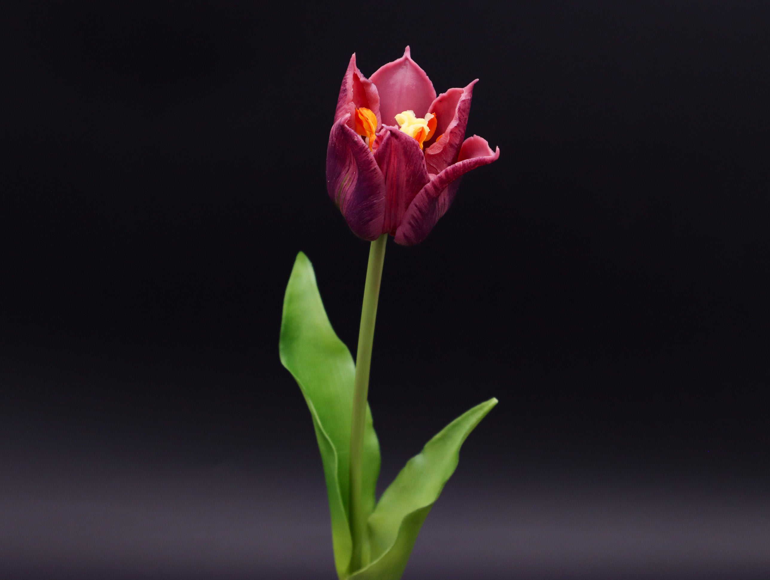 Tulpe Real Touch 48 cm Aubergine