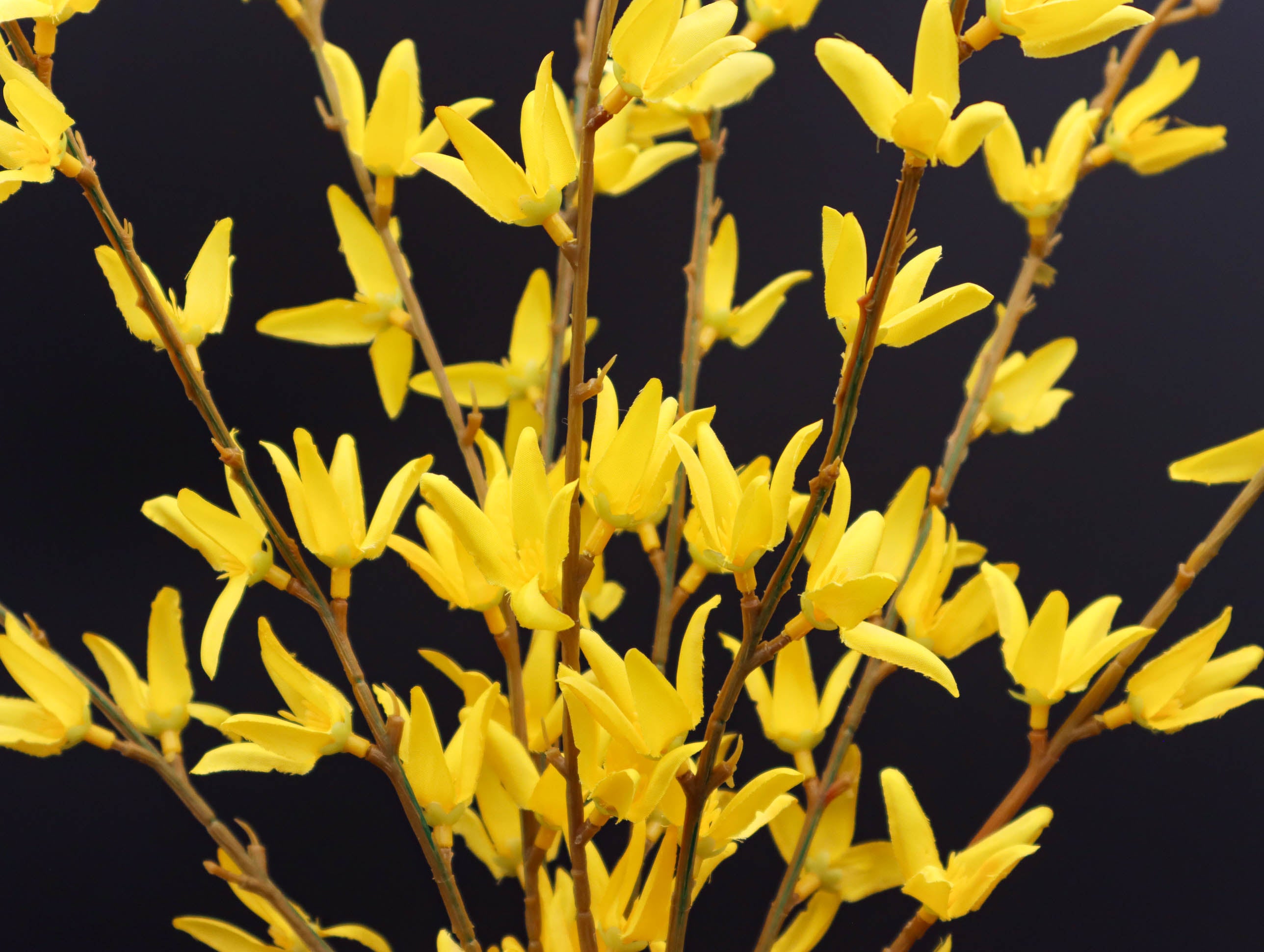 3er Dekoset Forsythienzweige je 55 cm