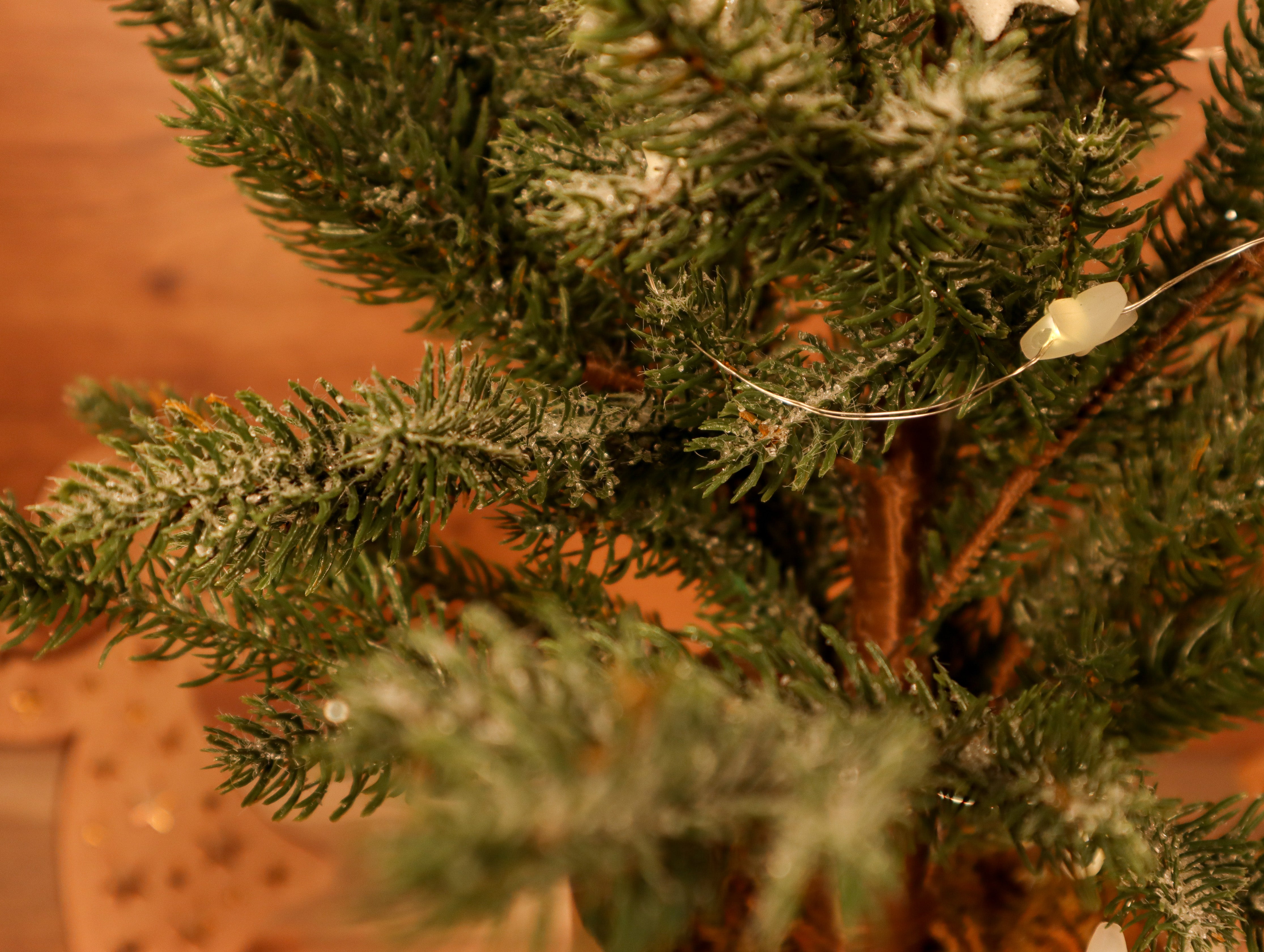 Beschneiter Tannenbaum im Topf ca. 81 cm