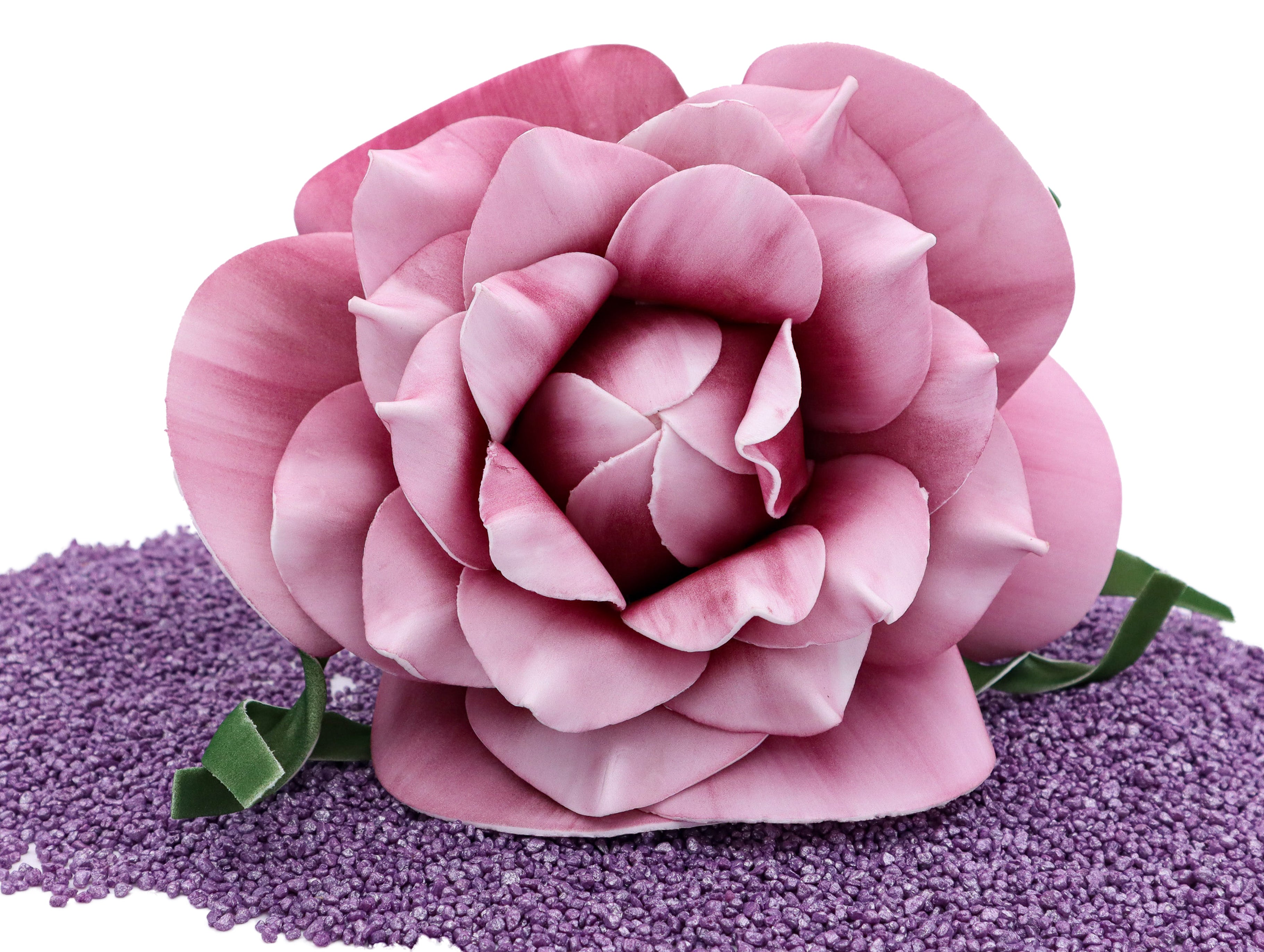 Großer Blütenkopf Rose Purple 25 cm
