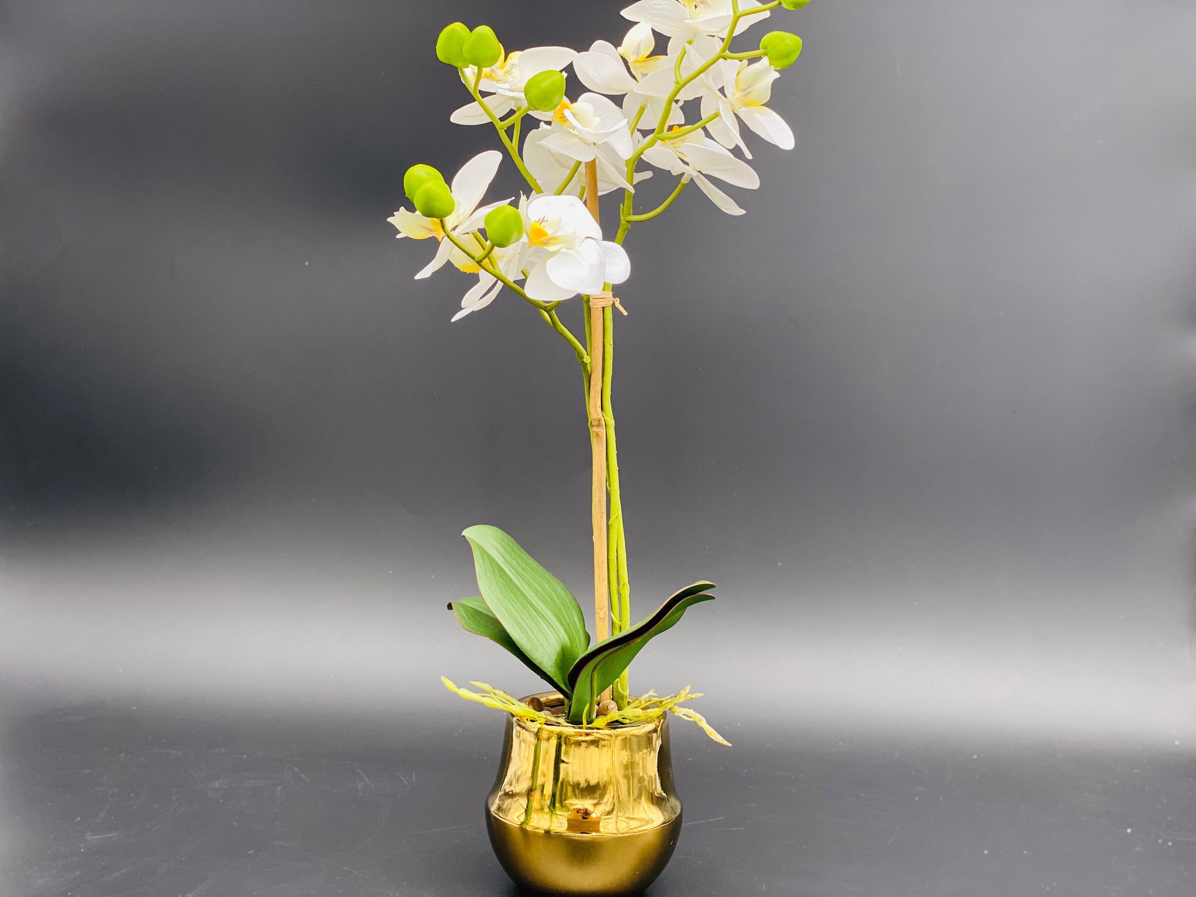 Orchidee in goldener Keramikvase 41 cm